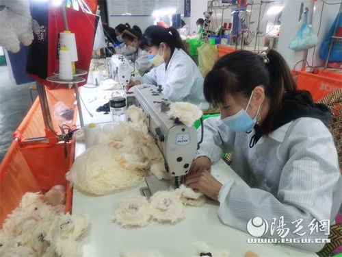 牢记嘱托 担当作为 幸福安康谱新篇 媒体集中采访活动走进平利