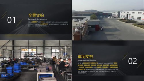 辉县市北流碳素厂