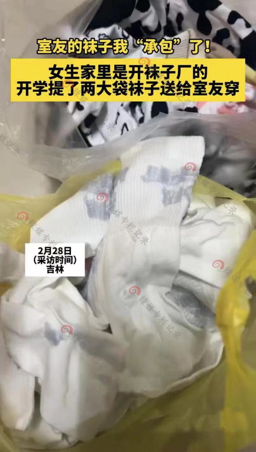开学满载‘袜’情谊——吉林女生分享室友暖心礼物
